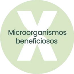 Microorganismos beneficiosos